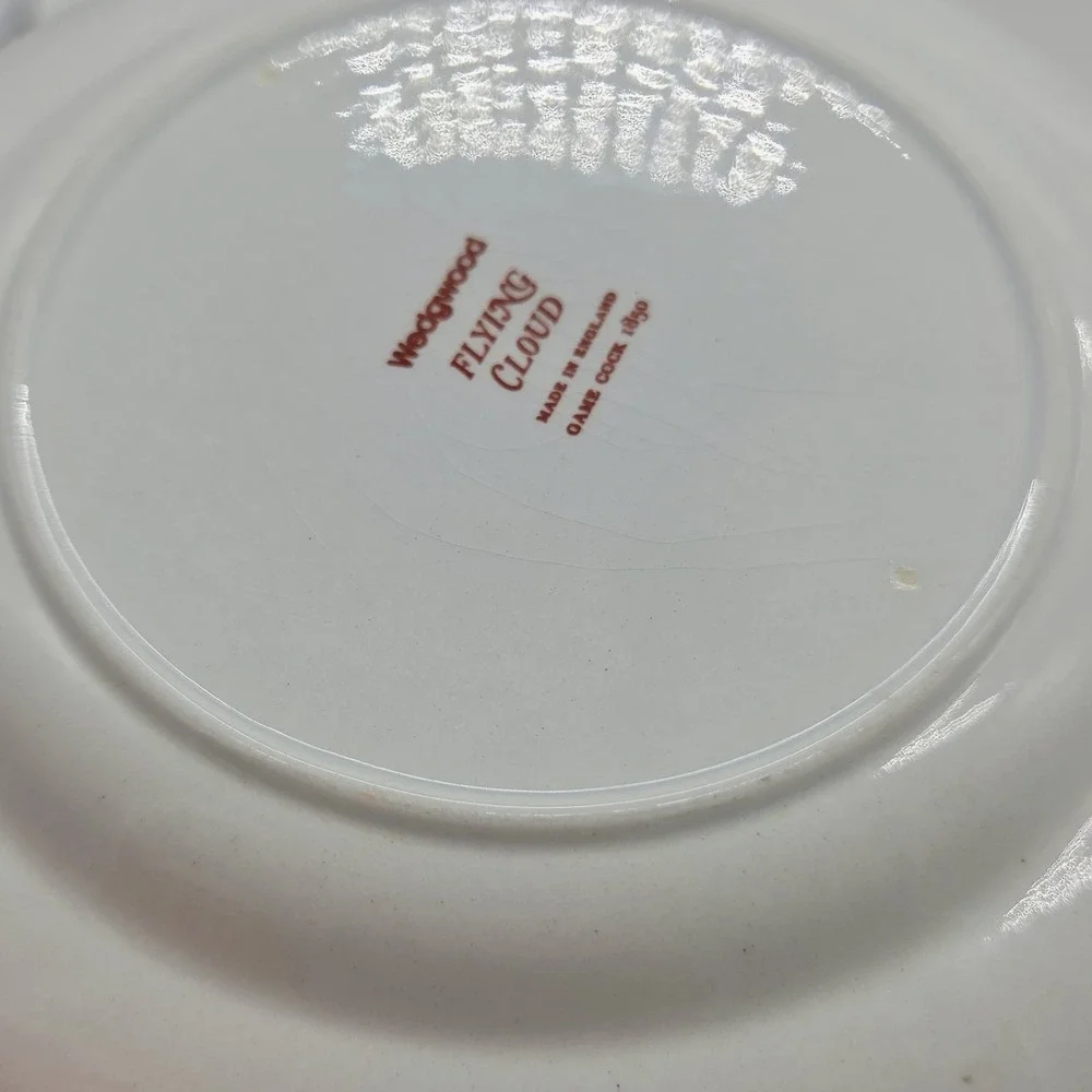 3x Wedgwood Flying Cloud Georgetown Collection Rust 6